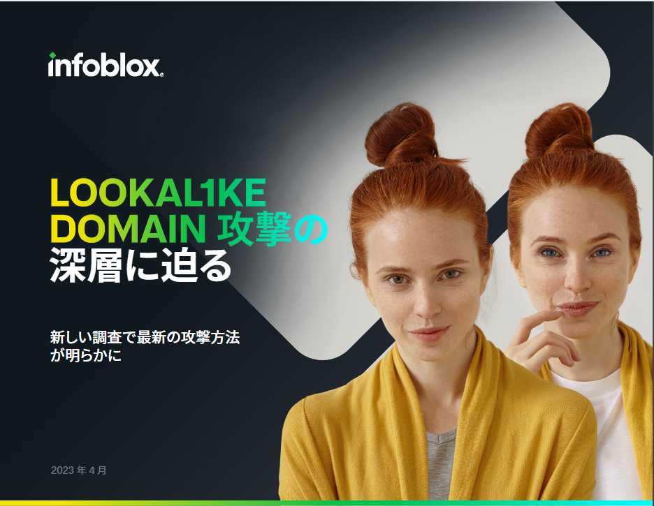 LOOKAL1KE DOMAIN 攻撃の 深層に迫る